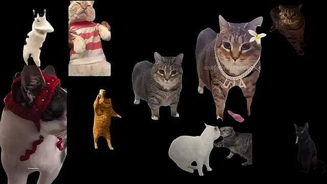 ch0wn m online show from 10-03-25, 12:46