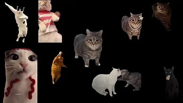 ch0wn m online show from 11-14-25, 01:21