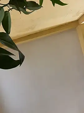 Snapshot of femboyslqueen chatting on 12-01-25, 06:40 femboyslqueen online show from 12-01-25, 06:40