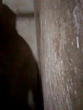 Lujor online show from 03-31-26, 11:38