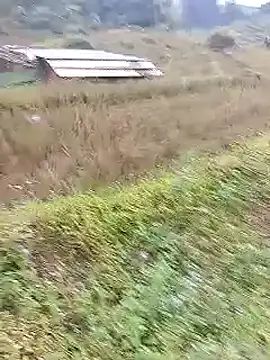 Phuongphuongg online show from 10-20-25, 02:23