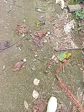 Phuongphuongg online show from 10-27-25, 04:27