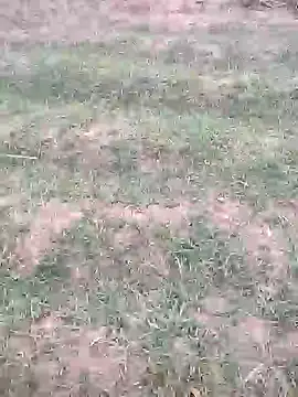 sonotutto online show from 10-12-25, 05:56