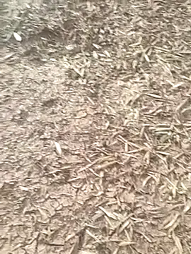 sonotutto online show from 10-16-25, 08:04