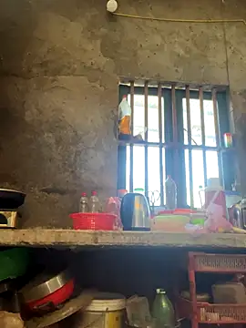 Sunny lotus online show from 12-01-25, 05:34