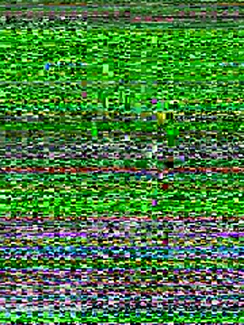 Emaline Fane online show from 12-19-25, 06:15