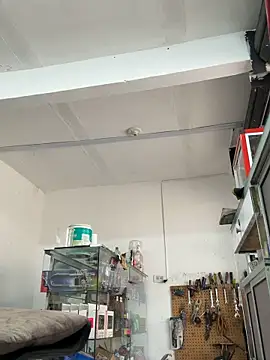 Terra-22cm online show from 04-11-26, 01:26