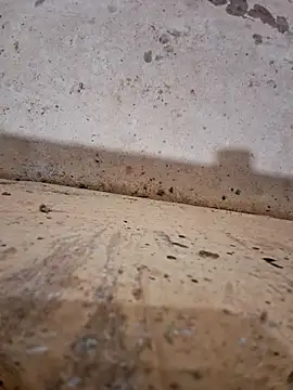 Negodabenga online show from 12-17-25, 11:33