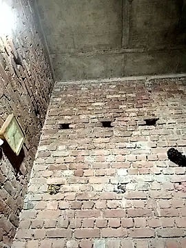 Savita992 online show from 09-12-25, 06:52