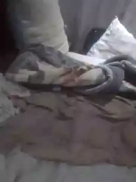 fcbk black online show from 11-27-25, 12:13