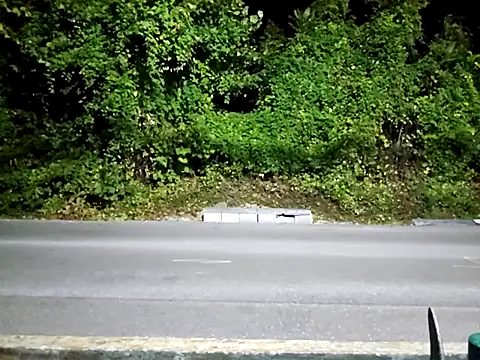 sloppytopkins online show from 09-15-25, 06:35