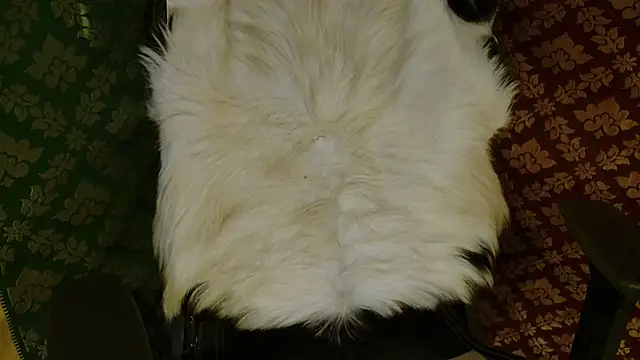 JUSTFORRICH online show from 04-20-26, 03:48