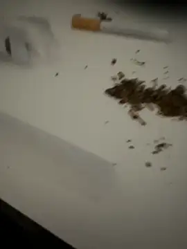 Snapshot of evawx9 chatting on 03-19-26, 06:12 evawx9 online show from 03-19-26, 06:12