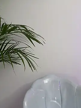 Ariana2017 online show from 02-06-26, 10:24