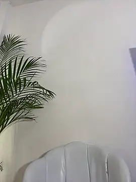 Ariana2017 online show from 06-11-26, 11:47