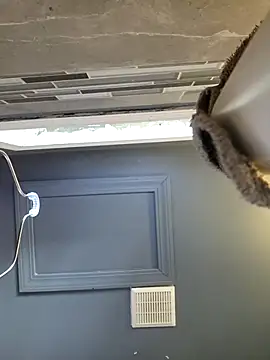 chocolate bella online show from 03-28-26, 12:49