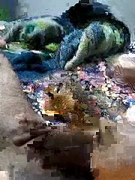 Snapshot of sitonmycock_ chatting on 10-06-25, 09:01 sitonmycock online show from 10-06-25, 09:01