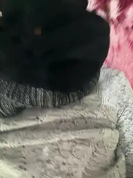 Yasar-Xxxl online show from 02-12-26, 01:44