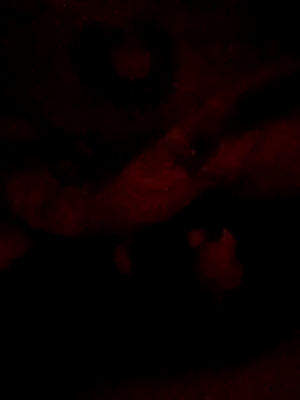 sarahkat86 online show from 02-20-26, 06:26