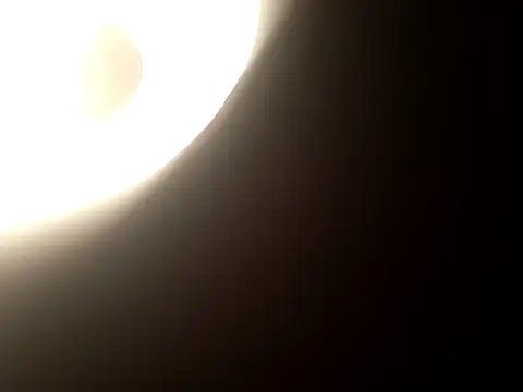 Snapshot of Salon1986 chatting on 10-31-25, 07:48 Salon1986 online show from 10-31-25, 07:48