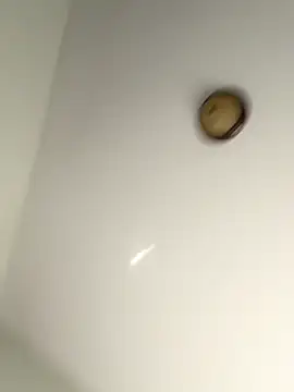 Snapshot of lilcubangoddess chatting on 10-28-25, 02:31 lilcubangoddess online show from 10-28-25, 02:31