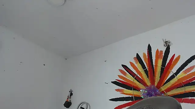 maggi hotsson online show from 04-21-26, 04:52