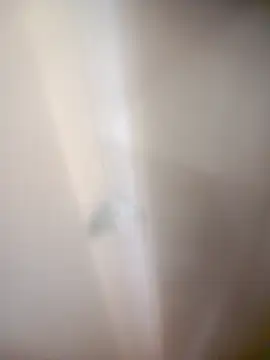 Snapshot of bullut06 chatting on 02-20-26, 09:32 bullut06 online show from 02-20-26, 09:32