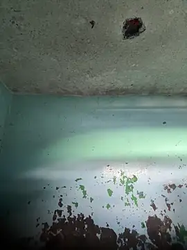 RandalHot online show from 04-15-26, 06:04