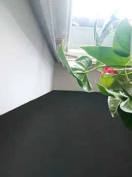 Snapshot of Czarnoksieznik chatting on 11-02-25, 12:07 Czarnoksieznik online show from 11-02-25, 12:07