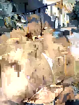 Snapshot of desitease chatting on 09-15-25, 08:03 desitease online show from 09-15-25, 08:03