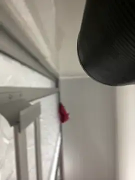 Snapshot of JuanitaMore01 chatting on 10-07-25, 08:28 JuanitaMore01 online show from 10-07-25, 08:28