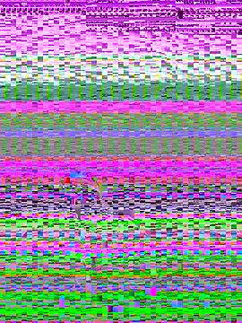 pnwzo online show from 10-03-25, 08:28