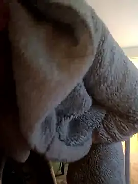 Snapshot of cameron334 chatting on 01-12-26, 12:10 cameron334 online show from 01-12-26, 12:10