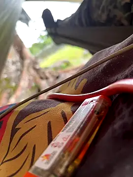 Alabestia12 online show from 11-10-25, 04:39