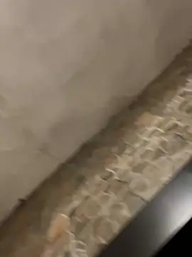 BrandonBlack online show from 02-07-26, 12:25