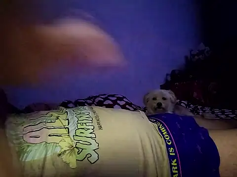 Snapshot of Alexandra23d chatting on 10-02-25, 09:22 Alexandra23d online show from 10-02-25, 09:22