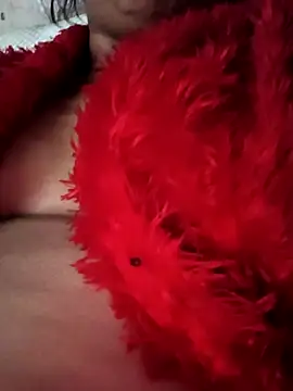 Snapshot of heena3355 chatting on 11-20-25, 04:12 heena3355 online show from 11-20-25, 04:12