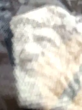 Snapshot of Zoe73_ chatting on 02-25-26, 08:18 Zoe73 online show from 02-25-26, 08:18