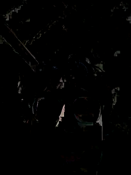 Snapshot of Kevintdx chatting on 09-23-25, 03:42 Kevintdx online show from 09-23-25, 03:42