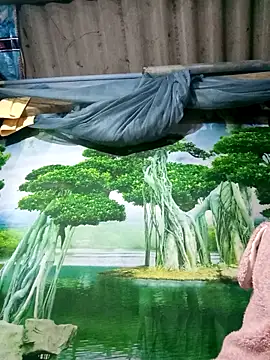 MaiHoa69 online show from 11-15-25, 02:57