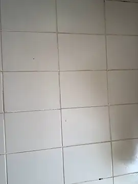 Snapshot of Novinhodotadomg chatting on 11-06-25, 01:45 Novinhodotadomg online show from 11-06-25, 01:45