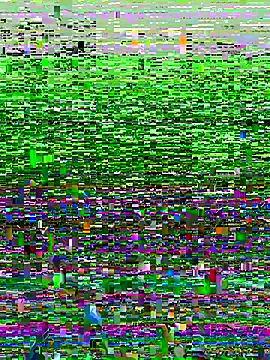 Snapshot of Novinhodotadomg chatting on 11-15-25, 07:43 Novinhodotadomg online show from 11-15-25, 07:43