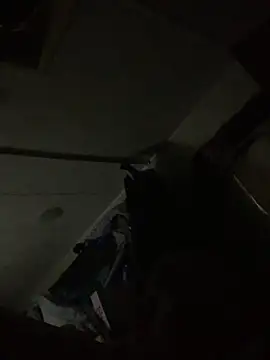 Snapshot of shakeweight chatting on 10-03-25, 10:56 shakeweight online show from 10-03-25, 10:56