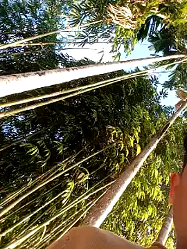 Johlrd online show from 12-17-25, 02:06