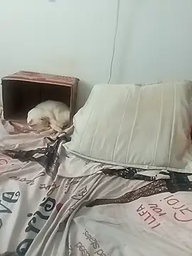 tany90 online show from 11-19-25, 08:20