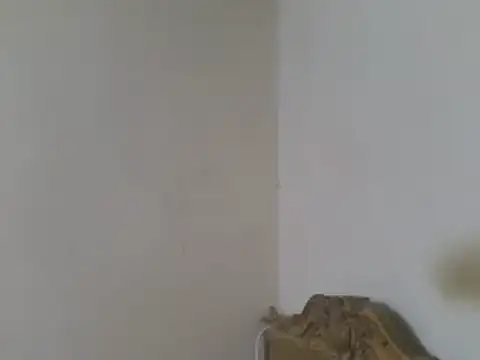 elpoop7305 online show from 07-19-26, 04:16