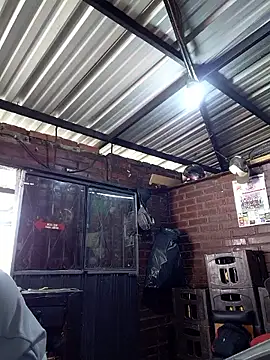 kay towers99 online show from 04-06-26, 06:31