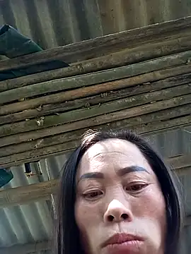 CoMay003 online show from 11-15-25, 06:22