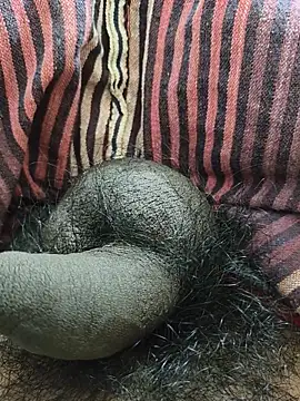 Bio-teacher online show from 12-18-25, 03:07