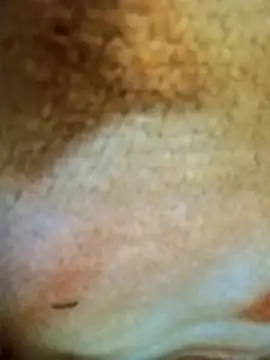 HOT-MUNDA online show from 12-17-25, 01:33